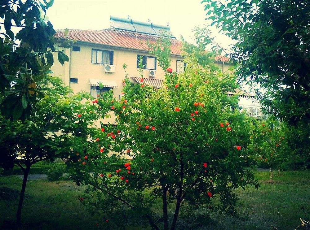 Hotel Viktoria Tirana Mjull-Bethore Buitenkant foto